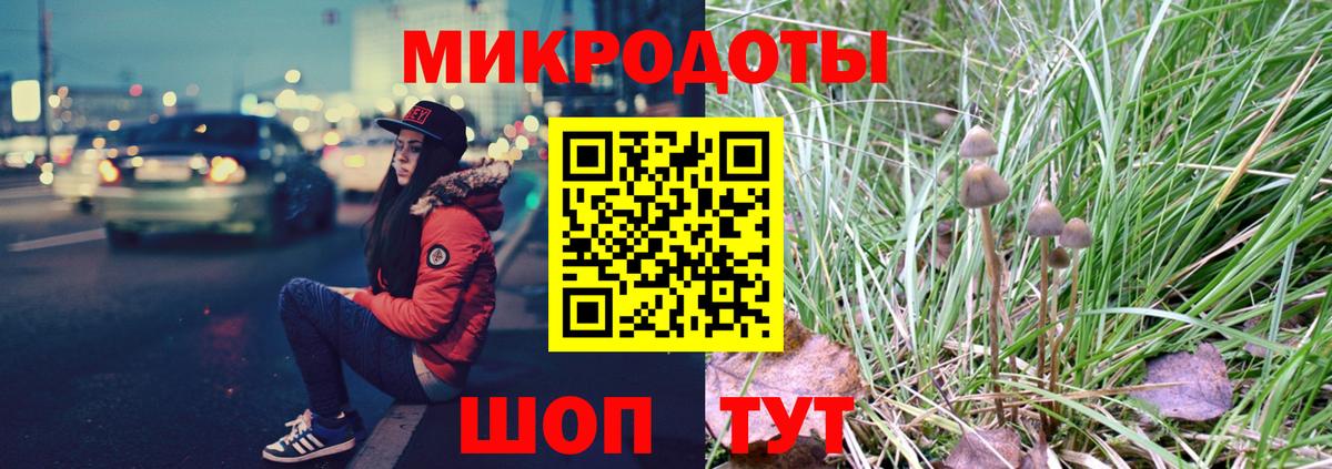 Псилоцибиновые грибы Psilocybe  Вход с VPN  Сыктывкар 