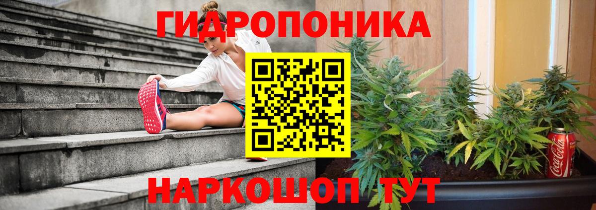 Каннабис индика  Вход с VPN  Бошки Шишки сатива  Сыктывкар 